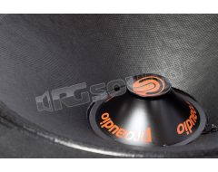 R250 high-efficiency 25cm extended range pair Proaudio