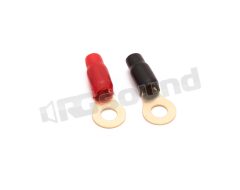 YCT412 Terminale ad occhiello 17x8,5mm Ciare