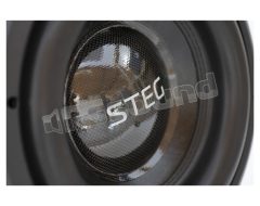 ST12D2-2 320 mm sub 2x2000W rms Steg