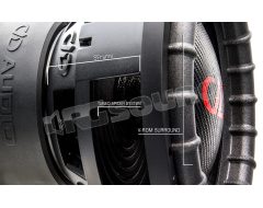 CB-Z312 D2 dual 2 ohm voice coil DD Audio Digital Designs