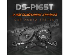 DSP-165T entry-level 165mm 2-way speaker system MBQ