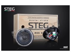 MSS3 pair of high-end 110mm midranges Steg