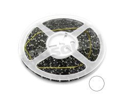 LED-206 STRISCIA LED 5MT 12V 300XLED 5050 BIANCO BlackLight