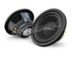 2.250 10" Subwoofer ESB car audio