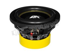 QXE10D2 Compact 250mm dual voice coil 2 Ohm subwoofer ESX