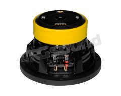 QXE10D2 Compact 250mm dual voice coil 2 Ohm subwoofer ESX