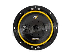 QXE10D2 Compact 250mm dual voice coil 2 Ohm subwoofer ESX
