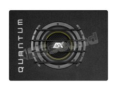 QXB8 20cm subwoofer in bass reflex enclosure ESX
