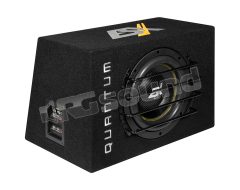 QXB10 subwoofer 25cm in cassa bassreflex ESX