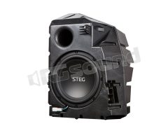 MT9 20cm subwoofer in box for TESLA Steg