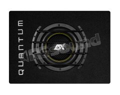 QXB8A 20cm powered subwoofer in bass reflex enclosure ESX