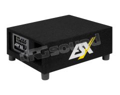 QXB8A 20cm powered subwoofer in bass reflex enclosure ESX
