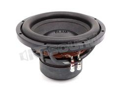 L 25DB 250 mm (10") dual voice coil subwoofer BLAM