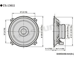 TS-1301i  Pioneer