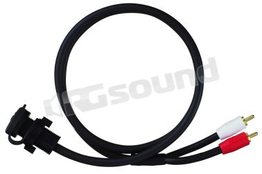 CCAAUX  Clarion