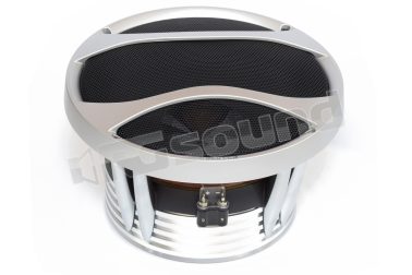 TH 10 basso Subwoofer 250mm Serie Thesis Audison