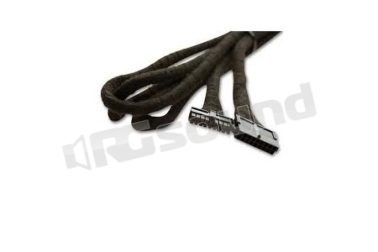 7137265 EXT1BM4 - prolunga Gateway Five e Pro BT Dension