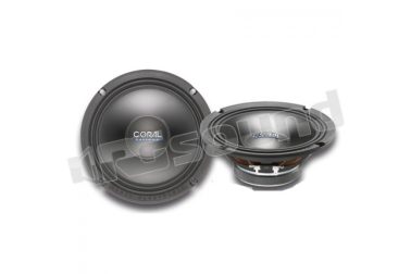 DLW 165  Coral Electronic