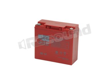 ZGL120036 12v 22Ah Zenith
