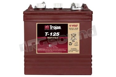T125 6V deep-cycle Trojan