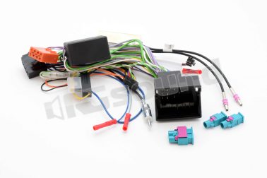 CBL007AUUN31 Audi (con amplificatore e doppia antenna) Paser