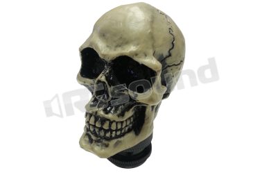 SKE Skeletor Simoni Racing
