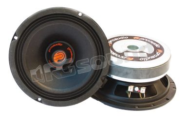 R165 coppia extended range ad alta efficienza 16,5cm Proaudio