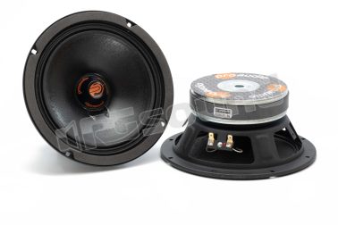 R200 extended range ad alta efficienza 20cm Proaudio
