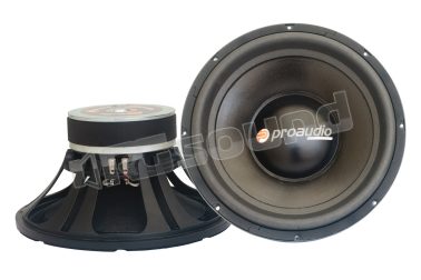 RSW38 sub di qualità per impianti SPL Proaudio