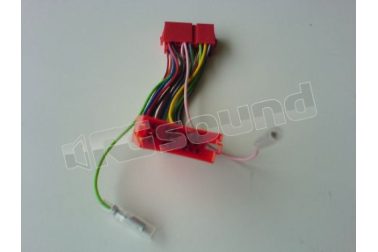 CP100M - AUDI  RG Sound
