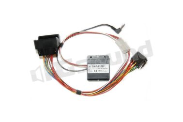 CA-R-PI.022 BMW Serie 3/5 Pioneer