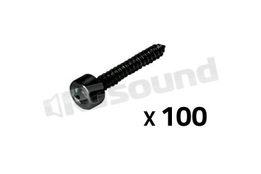 YAC242 viti autofilettanti - 100 pz. Ciare