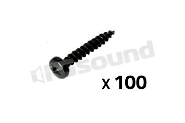 YAC248 viti ø 5 x 30 mm per truciolare - 100 pz. Ciare