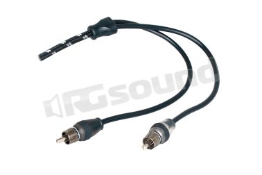 RFIT-10  Rockford Fosgate
