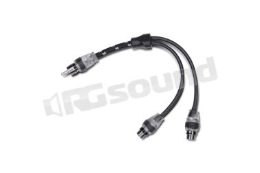 RFITY-1M  Rockford Fosgate