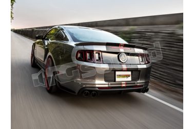 50.0531.58 Ford Mustang VI 2014>> 5.0 V8 (307kW) 2014>> Ragazzon