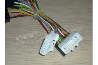 CP119 - Nissan  RG Sound