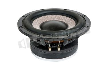 HSG200-22 Subwoofer 20cm con doppia bobina 2 Ohm Ciare