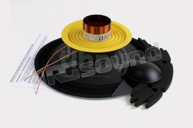 5M10WR308 riconatura altoparlante 10WR300 Beyma
