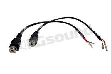 SU-EX2RCA  Gladen