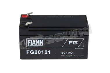 FG20121 confezione con 20 batterie Fiamm