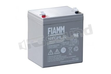 12FGHL22 confezione con 10 batterie Fiamm