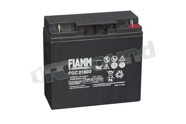 FGC21803  Fiamm