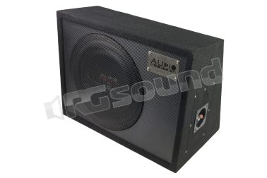 R 10 FLAT G ACTIVE EVO Woofer EVO ATTIVO SERIE RADION 25cm Audio System