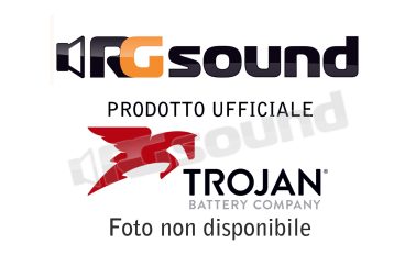 8D-AGM Batteria a doppio uso da 12 V Trojan