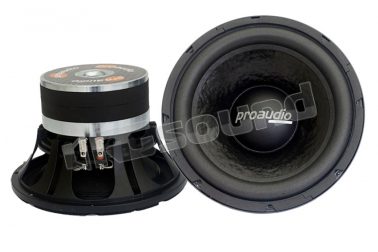 RSW250 Subwoofer 25cm con bassa frequenza di risonanza Proaudio