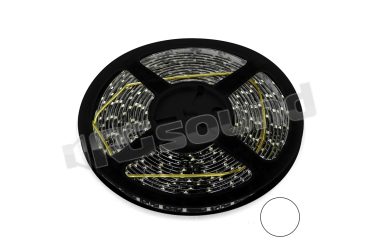 LED-190  BlackLight