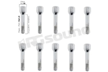 BR/29-10 10 bulloni ch.22 14x1.5 l.67 mm Simoni Racing