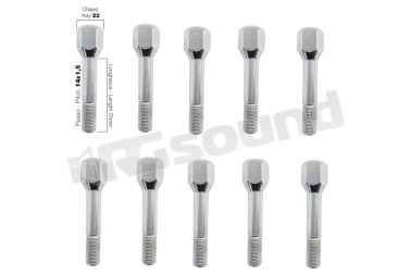 BR/31-10 10 bulloni ch.22 14x1.5 l.70 mm Simoni Racing