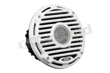 WAVE 10 Subwoofer 250 mm bobina 51mm - 90dB – 1x4 Ohm 200 W rms BLAM